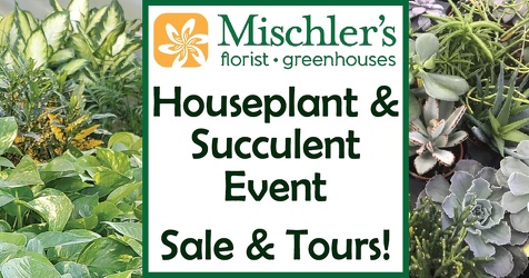 Houseplant & Succulent Event from Mischler's Florist and Greenhouses in Williamsville, NY