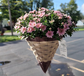 Mum Cone from Mischler's Florist and Greenhouses in Williamsville, NY