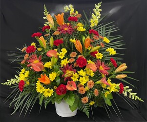 Fanshaped Bright Mix from Mischler's Florist and Greenhouses in Williamsville, NY