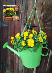 Large Pansy Watercan from Mischler's Florist and Greenhouses in Williamsville, NY