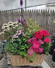 Perennial Basket from Mischler's Florist and Greenhouses in Williamsville, NY