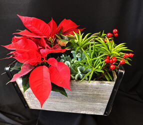 Winter Cottage Box from Mischler's Florist and Greenhouses in Williamsville, NY