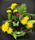 Premium Planter from Mischler's Florist and Greenhouses in Williamsville, NY