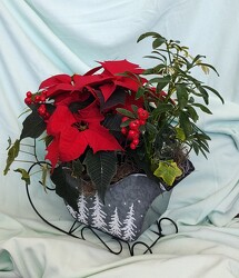 Sleightime from Mischler's Florist and Greenhouses in Williamsville, NY