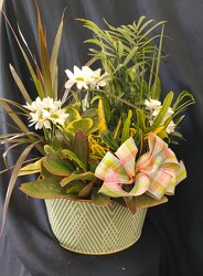 Spring Green Dish Garden