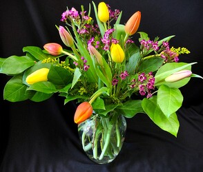 Tulip Vase from Mischler's Florist and Greenhouses in Williamsville, NY