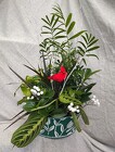 Winter Dish Garden from Mischler's Florist and Greenhouses in Williamsville, NY