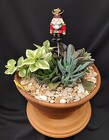 Winter Succulent Bowl from Mischler's Florist and Greenhouses in Williamsville, NY
